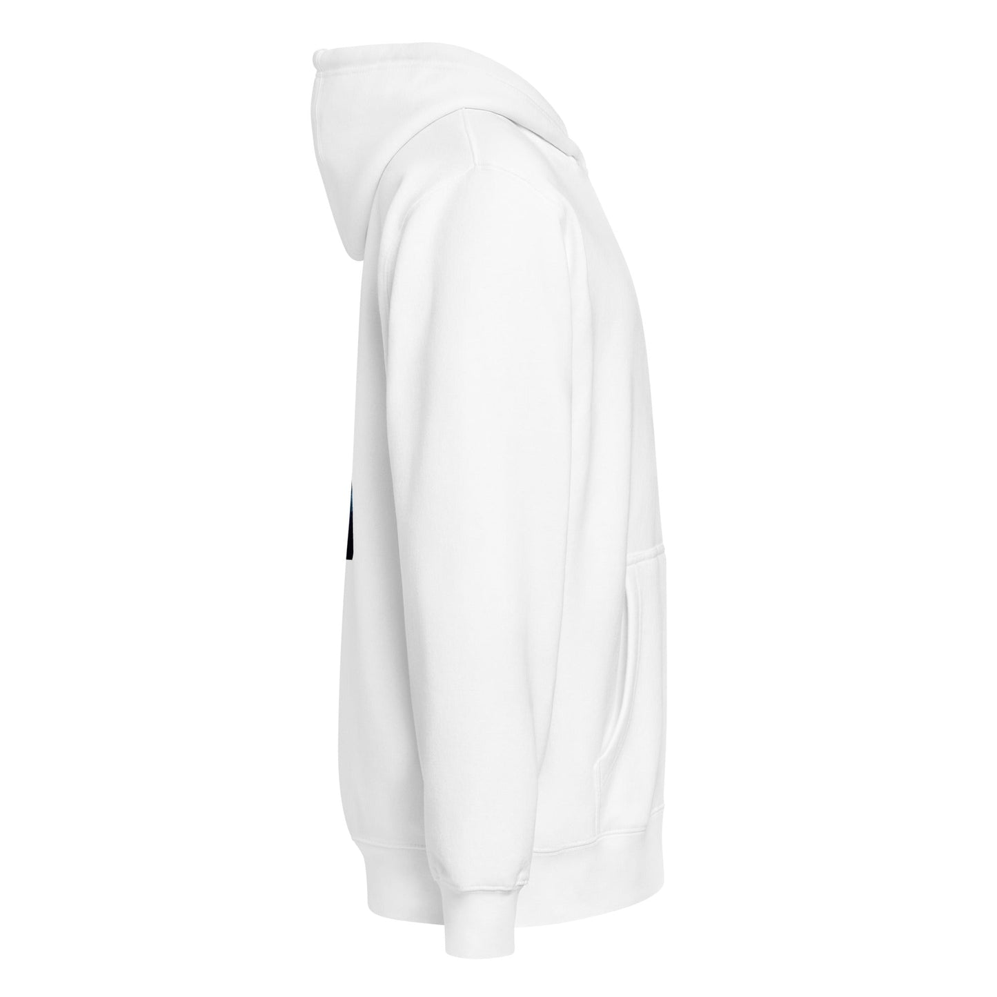 Premium full zip hoodie - T.Eddy’s Art Studio